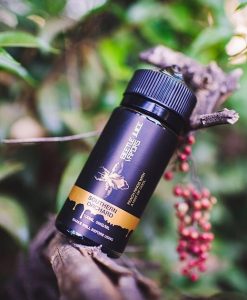 Southern Orchard Beetle Juice vapors