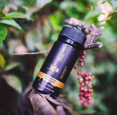 Southern Orchard Beetle Juice vapors